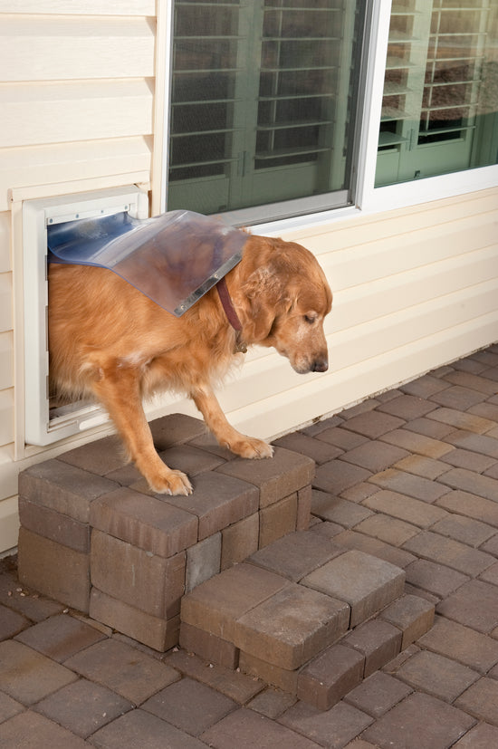 Get dog door notifications from your cellular contact sensor 