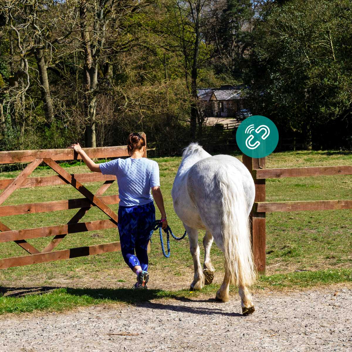 On the farm and ranch, get pasture gate door notifications from your cellular contact sensor 