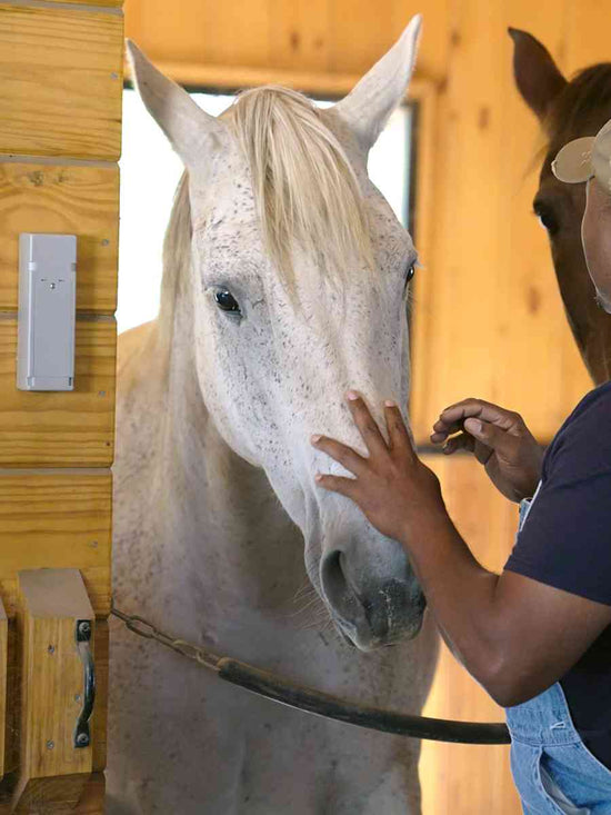 Get horse stall door notifications from your cellular contact sensor 